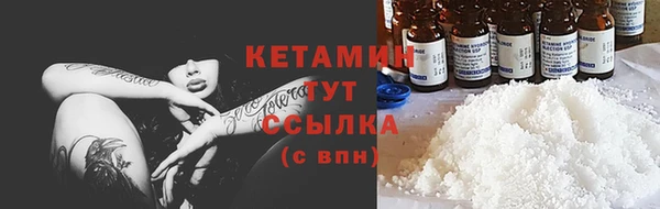шишки Саяногорск