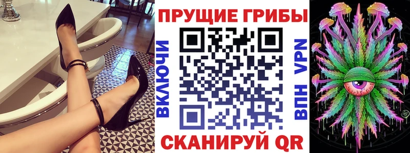 Псилоцибиновые грибы прущие грибы  ссылка на мегу   Куровское 